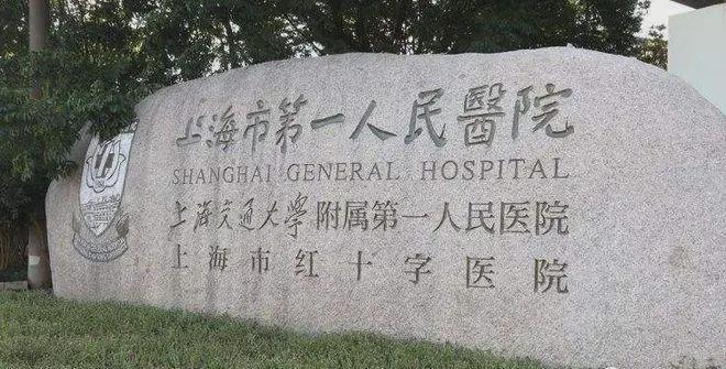 健康生活新地标 中企誉品银湖湾亮点解读与健康咨询服务